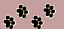 ebontigress.com pawprints icon